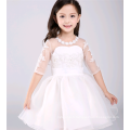 Belle fille blanche princesse robes dernière robe design pour fille fleur déguisements costumes enfants robe fleur